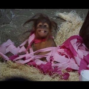 Meet your Posher, Ian